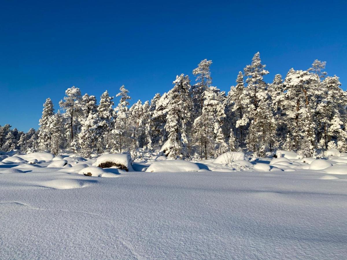 Norlight Cottages Ivalo - Tuli Eksteriør billede