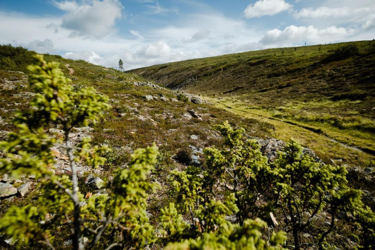 Norlight Cottages Ivalo - Tuli Eksteriør billede